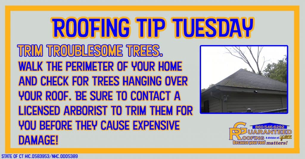 guaranteed-roofing-trim-trees