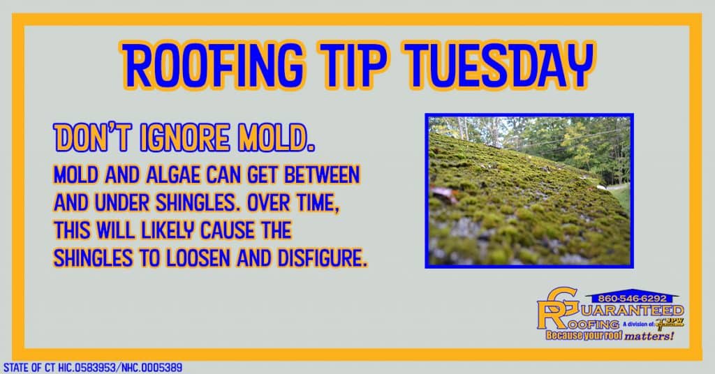 don't-ignore-mold-roofing-tip