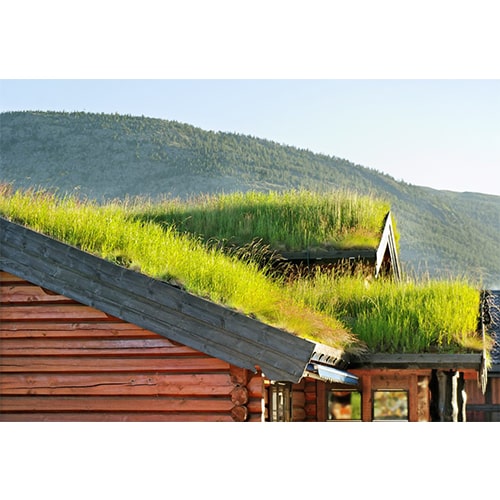 green-roofing-materials