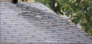 Need a new roof