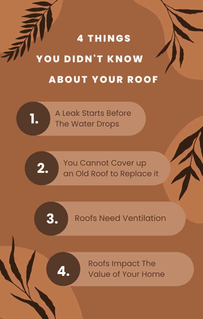 Things You Didn't Know About Your Roof