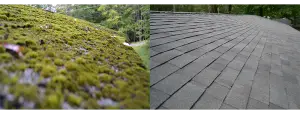 Ashford, CT New Roof Replacement