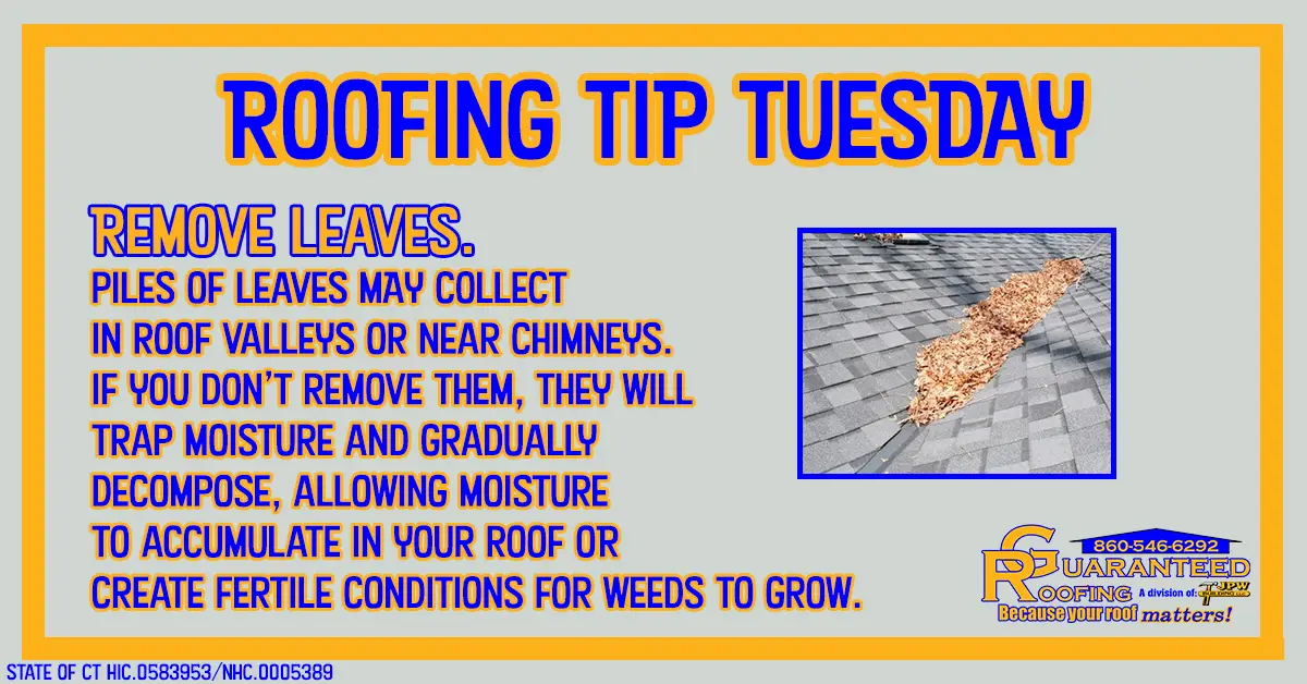 Roofer in CT remove leaves