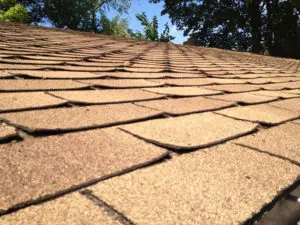 roof-shingles-curling