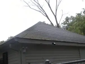 Tree hanging over roof