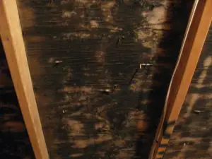 attic-stain