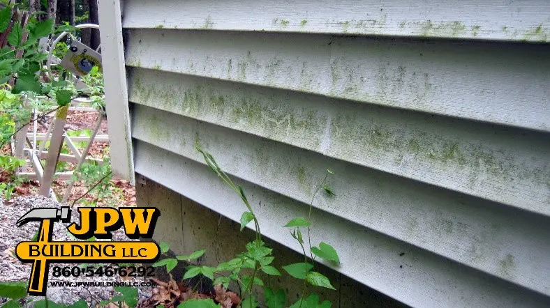 moss-growth-on-siding