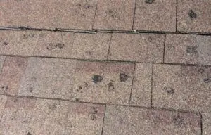 hail-damage