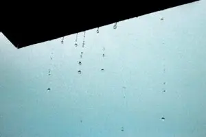 Roof Waterproofing 101