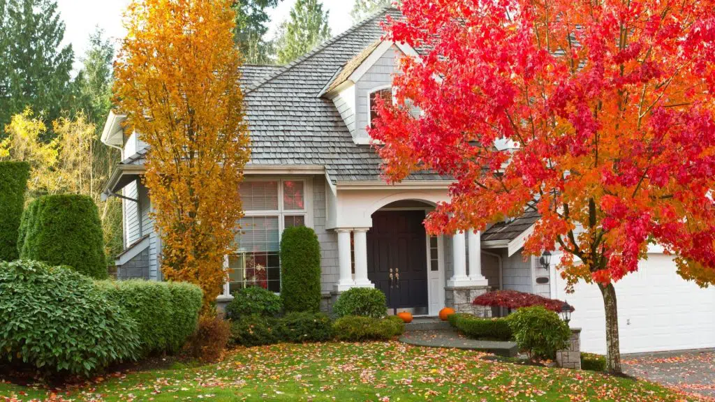 fall roof maintenance