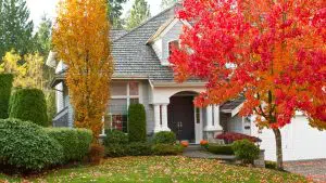 fall roof maintenance