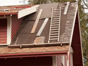 Roof Maintenance