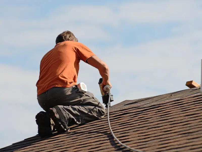 roof maintenance tips