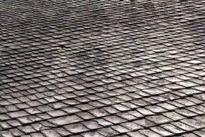 buckling shingles