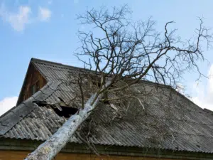 wind damage