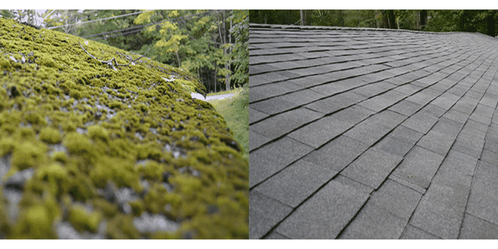Ashford, CT New Roof Replacement