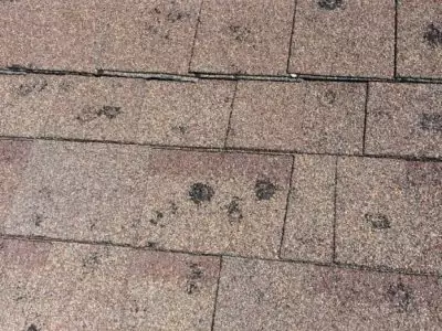 hail-damage